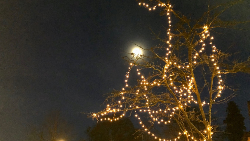 Weihnachtsoratorium Heilig Kreuz