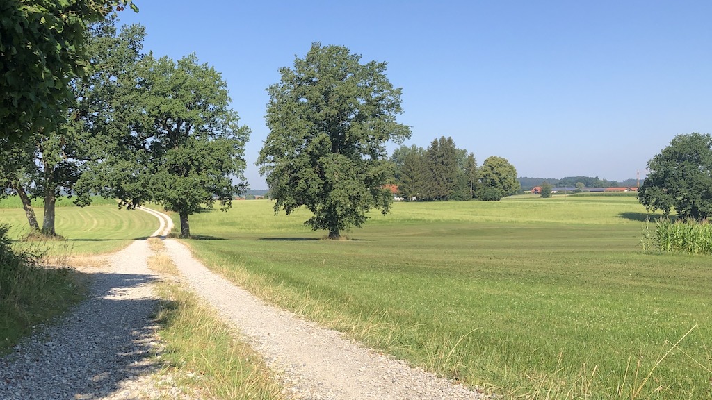 Bäume in der Nähe von Finning, Landkreis Landsberg am Lech