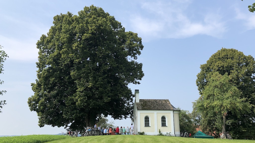 Baumgeschichten: Die Kapelle Maria Schnee in Aidenried