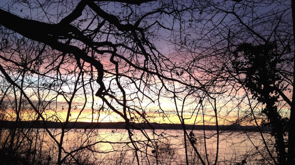 Licht und Schatten: Zweige vor einem Sonnenaufgang am Ammersee